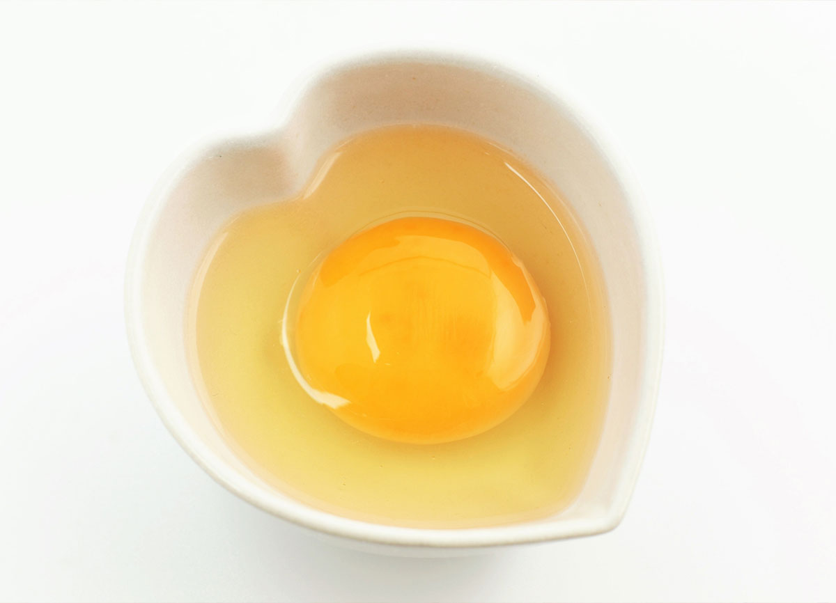 鹿児島県南さつま市の鳥刺し・卵の販売の南さつま鶏卵