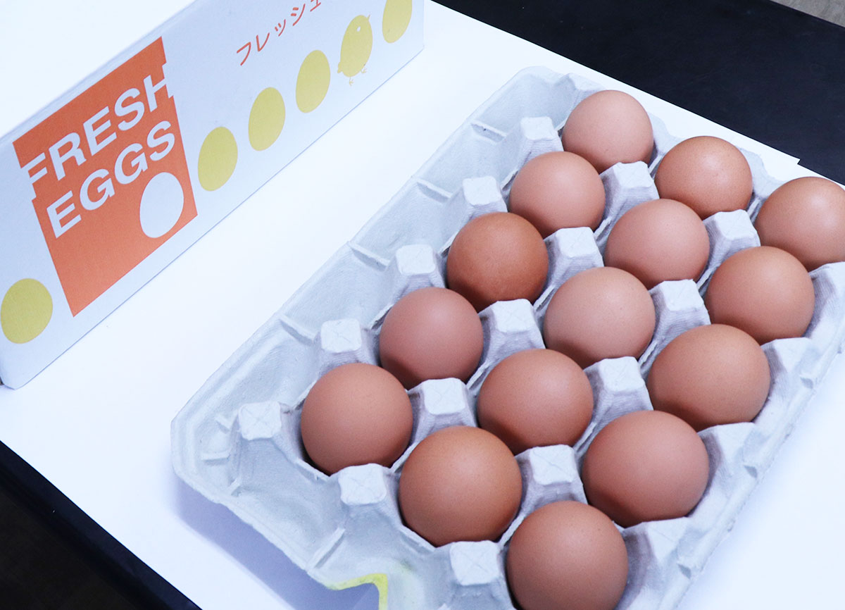 南さつま鶏卵の特製たまご